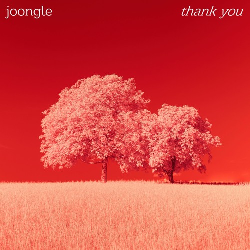 Joongle - Thank You