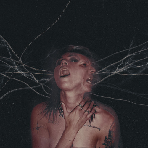 ALICE COOPER'S POOL HOUSE