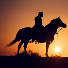 إخوة الإيمان | سعد الغامدي