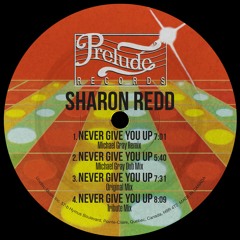 Sharon Redd - Never Give You Up (Michael Gray Dub Mix)