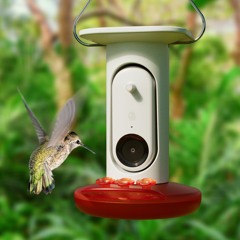 Techstination Interview: Ready for a smart picture taking hummingbird feeder?
