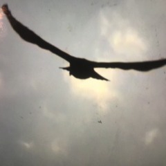 Glide