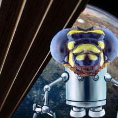 Space Bass Bug