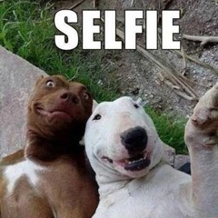 Honey ~ with a Little Pepper 😉