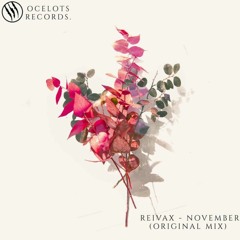 Reivax - November (Original Mix)