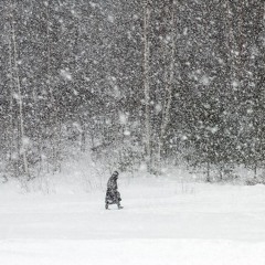 White Snow (prod. Sleepy!)