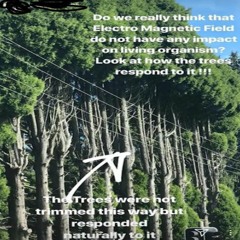 beat clipsㅤ mid24 - mid25