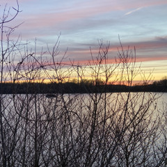 Angekommen vielleicht - Nellijosy Cover