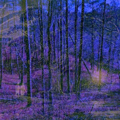 Ignis Fatuus [Disquiet0576]