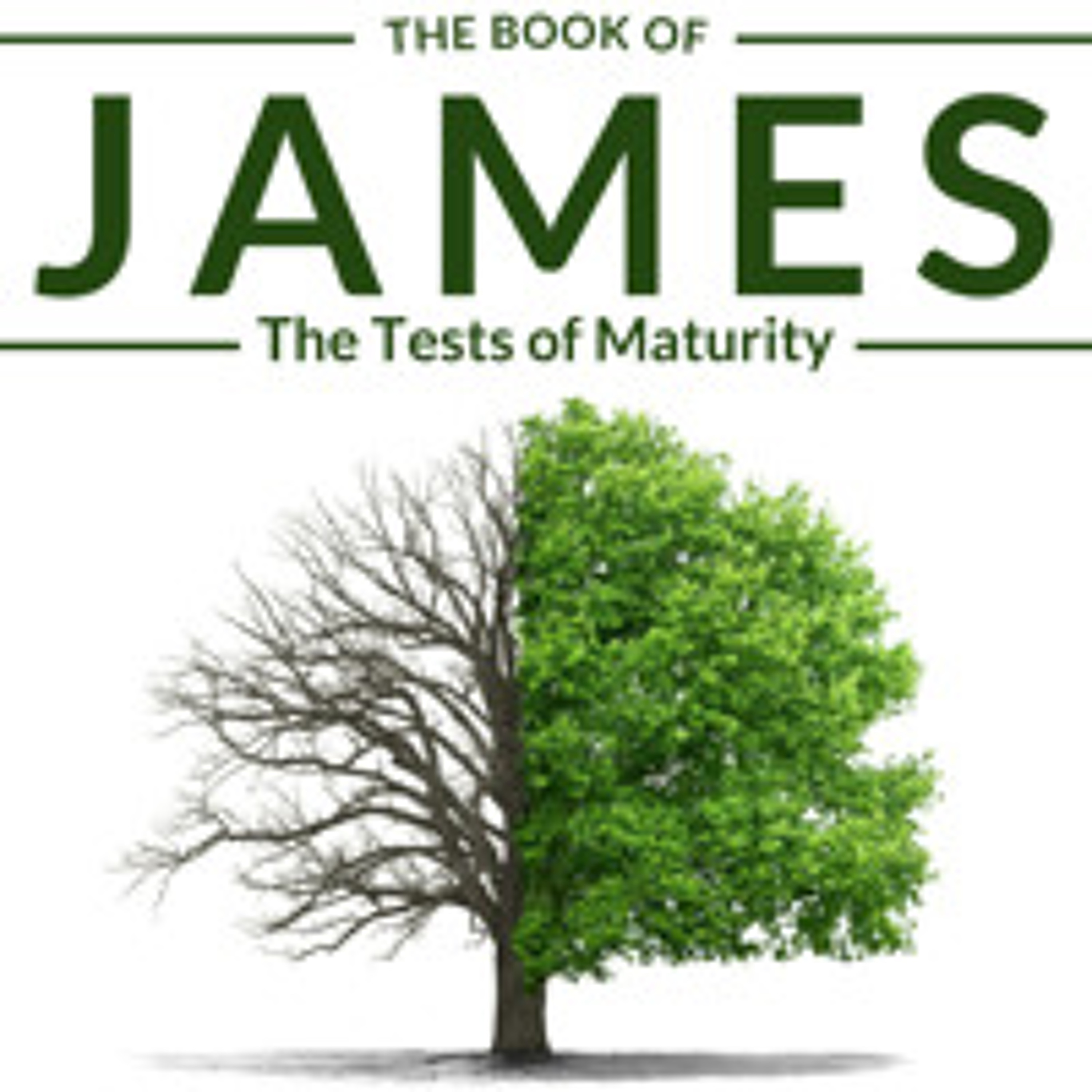 Church of the Holy Spirit - Roanoke