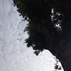 Franco, The Sir! - "Nas Ruas"