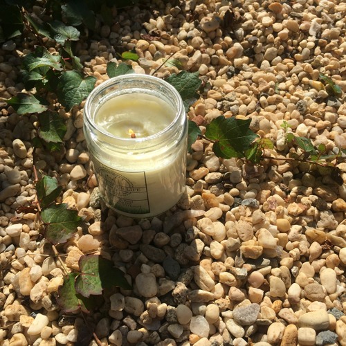 'Cleansing The Mind Can Bring Health, Beauty And Longevity' From World Beyond World By Woo Myung