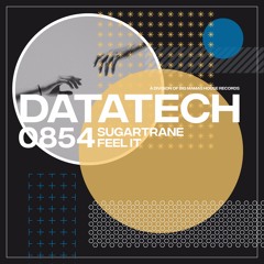 Sugartrane - Feel It