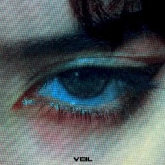 veil akiaura slowed