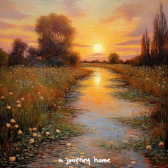 a journey home - sunset bloom