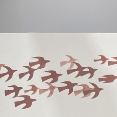 Time Flies (acoustic) [DEMO]