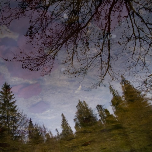 prince of shards - very close, sensitive and blurred