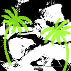 palm tree prod ripnine