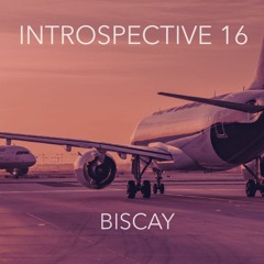 INTROSPECTIVE 16