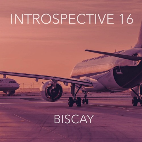 INTROSPECTIVE 16