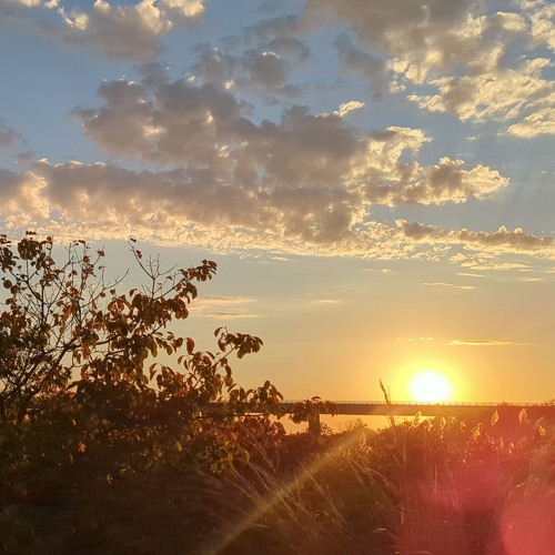 Chatting Machine Elf