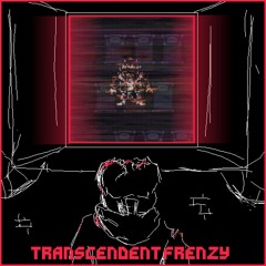 SK!MIRRORED INSANITY[Remastered] - Transcendent Frenzy