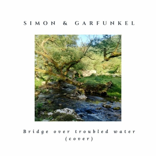 Stream Simon & Garfunkel - Bridge over troubled water (cover).mp3 by  Francesca Albarella | Listen online for free on SoundCloud