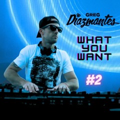 What You Want #2 (Radio Mix)