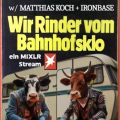 Wir Rinder vom Bahnhofsklo 030 with Matthias Koch & Ironbase