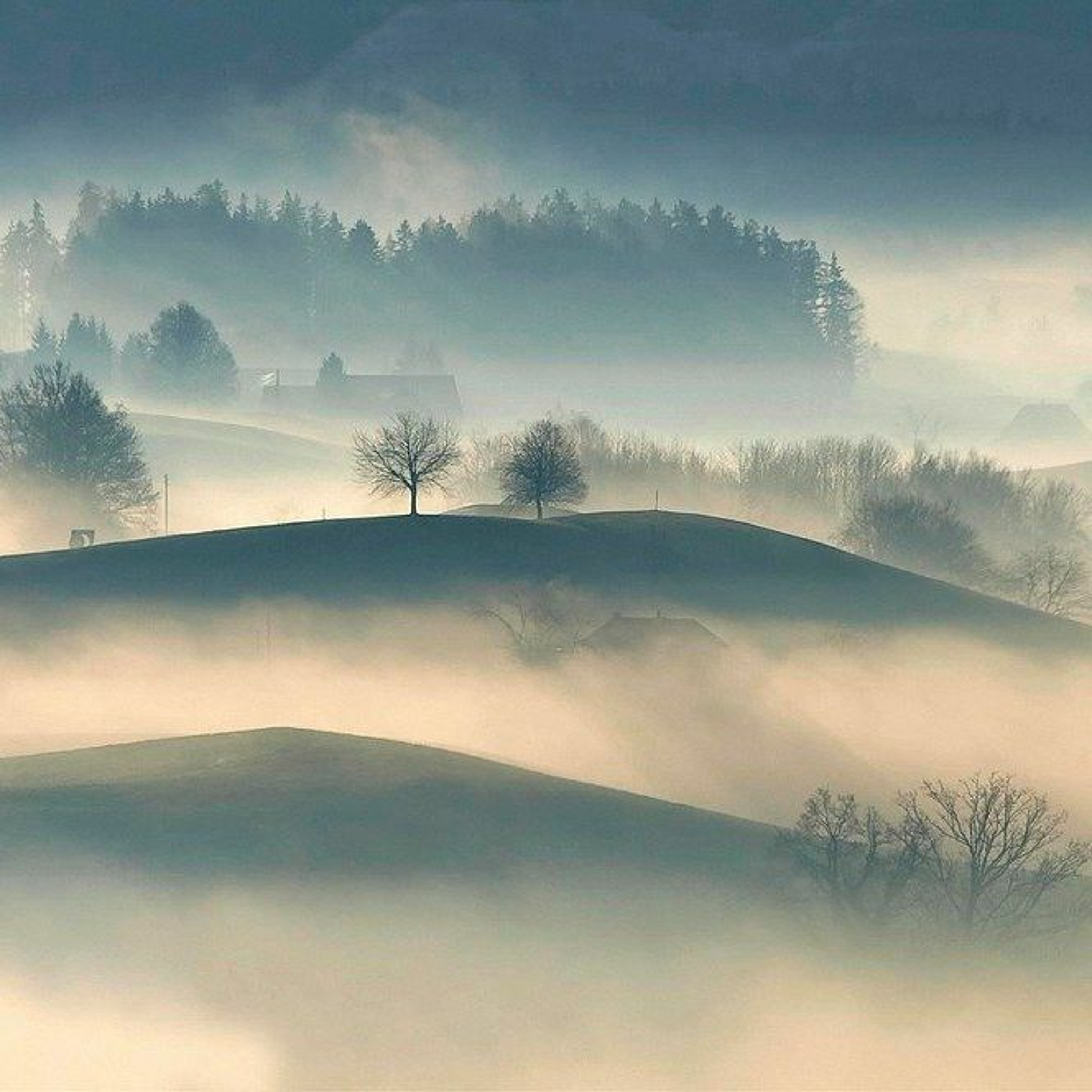 Walters Musik-Welt