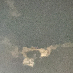 NeverHeardaBrae (feat. $hady Ghost) - like why