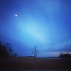 the unmoving acceptances of the spring air…