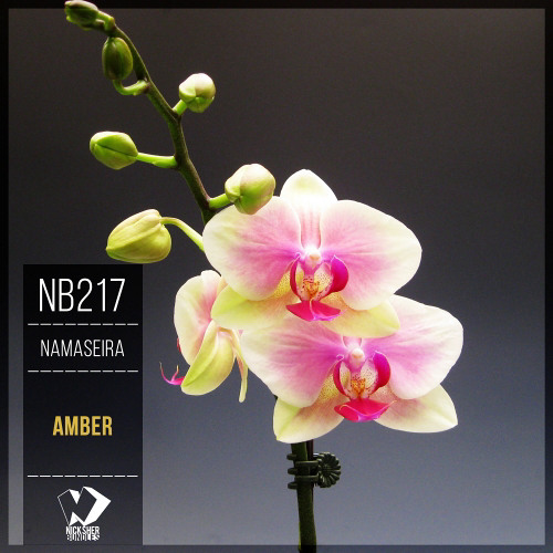 Namaseira - Neptune Shadows (Original Mix)