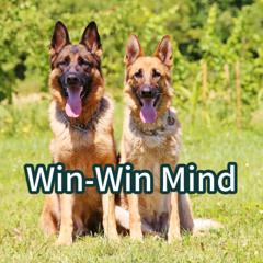 Win-Win Mind