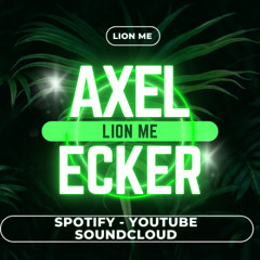 Lion Me 132