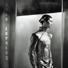 Nova Express Lounge 1, Inspector Lee