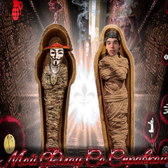 Anonymous Ember, fakemutin - Мой Флоу Со Справкой