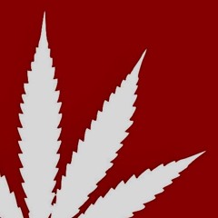 LOCALGAZZ (prod. tiresss)