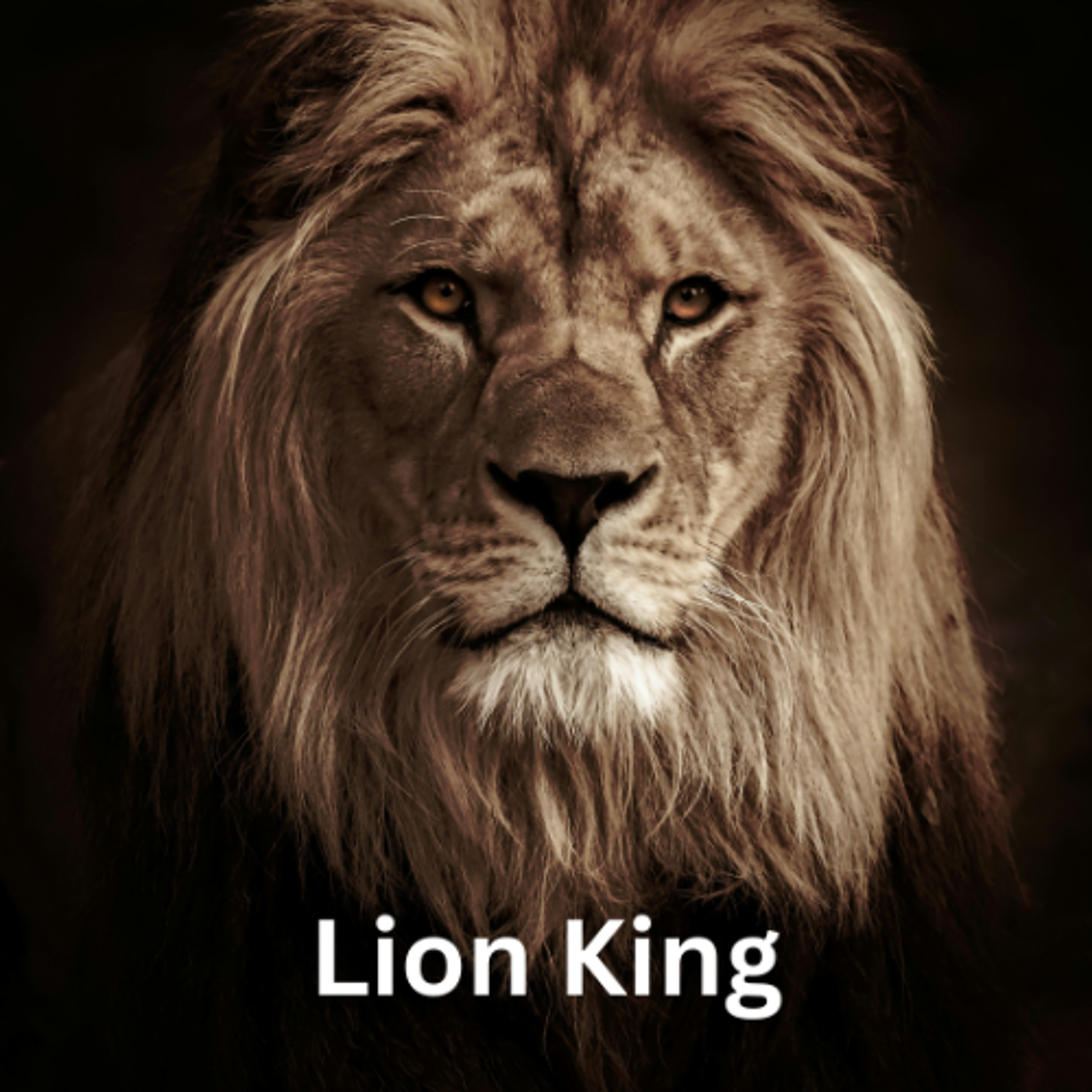 Lion King - Max - Nazareth Catholic College