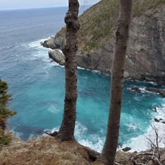 Consciously Transcending (2020)