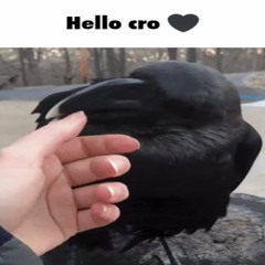 hello cro