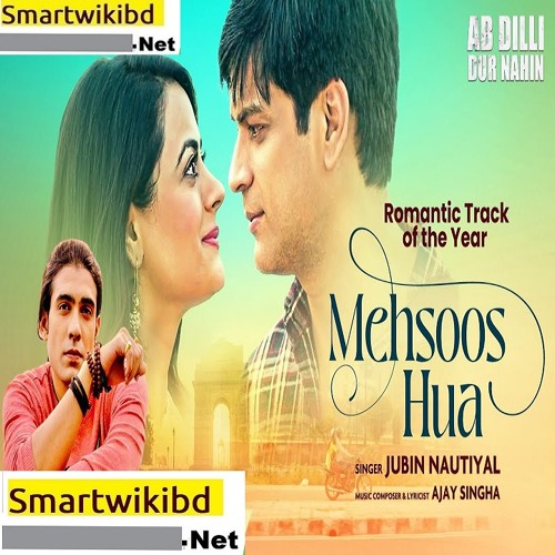 Stream Mehsoos Hua Jubin Nautiyal Hindi Mp3 - Ab Dilli Dur Nahin Movie Full  Song 2023- Smartwikibd.Net by smartwikibd.net | Listen online for free on  SoundCloud