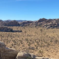 TRBTC Episode 7: Joshua Tree National Park