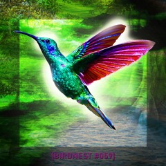 BIRDNEST #059 | SsOunday in Deep Flight | Podcast by The Lahar