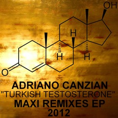 Turkish Testosterone Panic303 Rmx