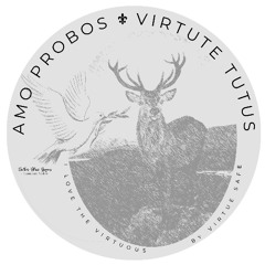 Sunday Homilies - Year A