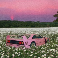 𝘏𝘌𝘓𝘓𝘊𝘈𝘛