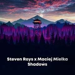 Steven Roys x Maciej Mielka - Shadows