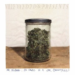MR 28GRAMS: 'TELETUBBIES (in B&W) (FREESTYLE)'