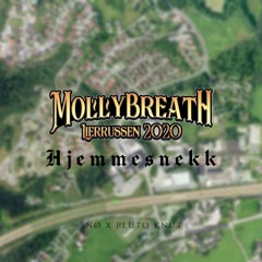 Mollybreath 2020 - Hjemmesnekk (feat. Pluto Knut)